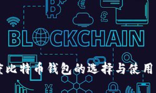 印度比特币钱包的选择与使用指南