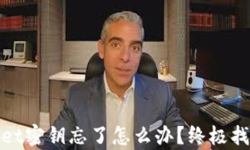 
tpwallet密钥忘了怎么办？终极找回指南