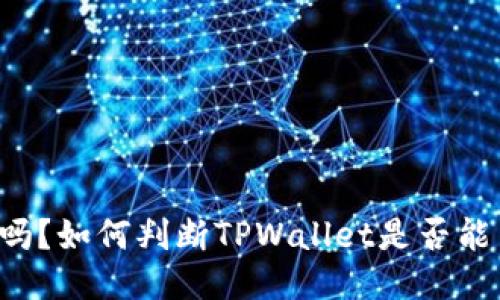 TPWallet安全吗？如何判断TPWallet是否能查到主人信息？