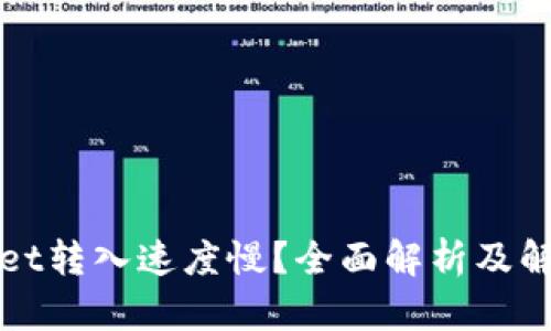 TPWallet转入速度慢？全面解析及解决方案