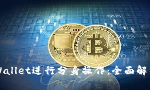 如何使用TPWallet进行分身操作：全面解析及实用指南
