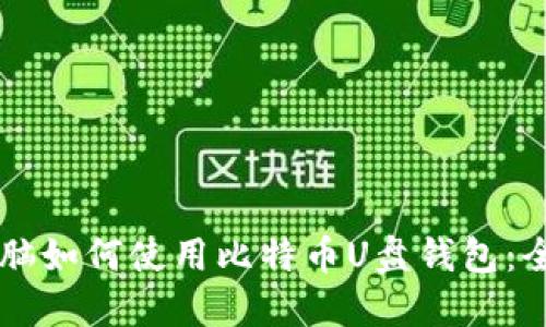 苹果电脑如何使用比特币U盘钱包：全面指南