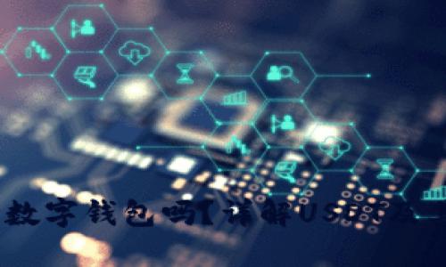 USDT可以打入数字钱包吗？详解USDT及其钱包使用指南