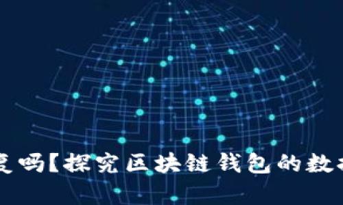 区块链钱包能恢复吗？探究区块链钱包的数据安全与恢复方法