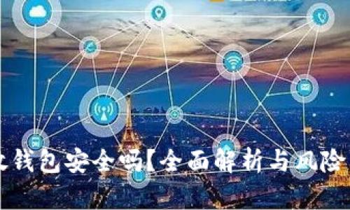 虚拟币放钱包安全吗？全面解析与风险防范指南
