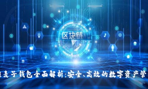 区块链麦子钱包全面解析:安全、高效的数字资产管理工具