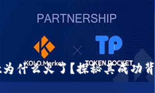 TPWallet为什么火了？探秘其成功背后的原因
