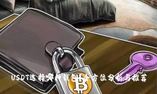 USDT选择哪种钱包？全方位分析与推荐