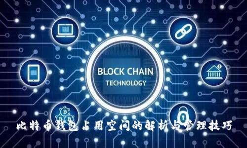比特币钱包占用空间的解析与管理技巧