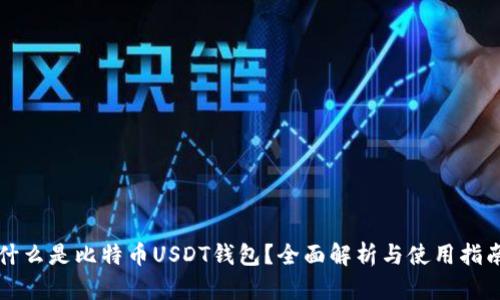 什么是比特币USDT钱包？全面解析与使用指南