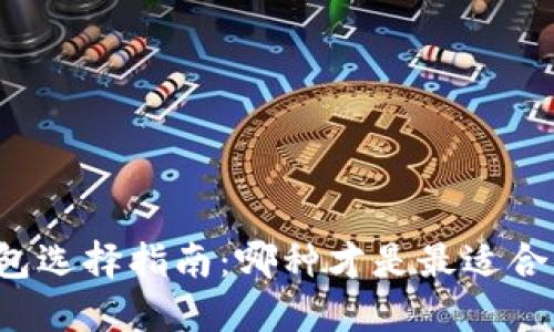 区块链钱包选择指南：哪种才是最适合你的钱包？