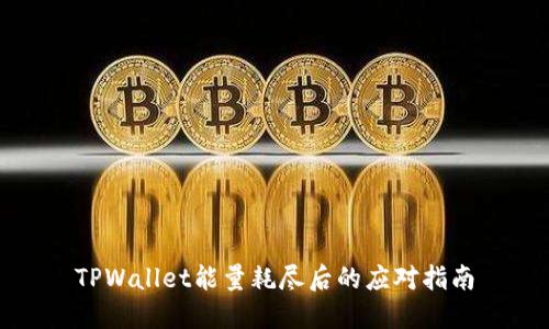 TPWallet能量耗尽后的应对指南