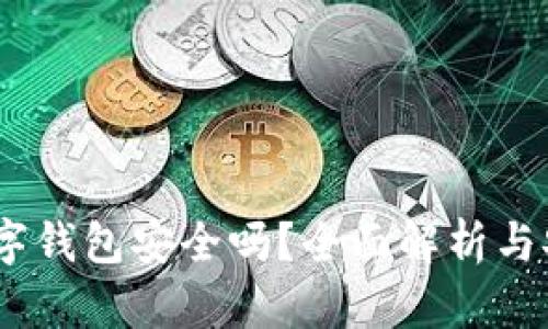 USDT数字钱包安全吗？全面解析与安全指南