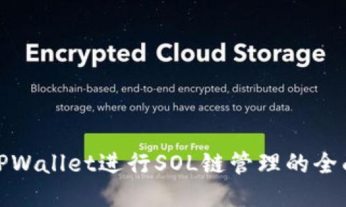 使用TPWallet进行SOL链管理的全面指南