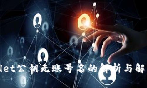 TPWallet公钥无账号名的解析与解决方案