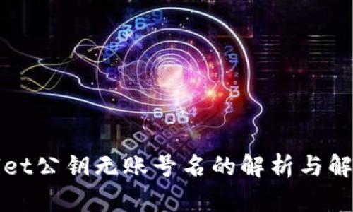 TPWallet公钥无账号名的解析与解决方案