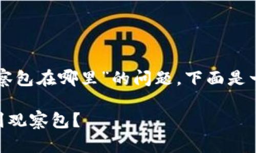 关于“tpwallet里的观察包在哪里”的问题，下面是一个且的和相关关键词：

如何在TPWallet中找到观察包？