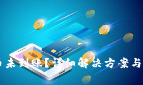 TPWallet提币未到账？详细解决方案与常见问题解析