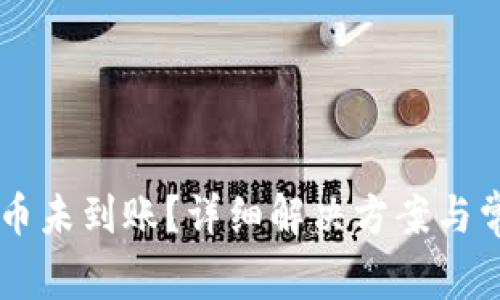 TPWallet提币未到账？详细解决方案与常见问题解析