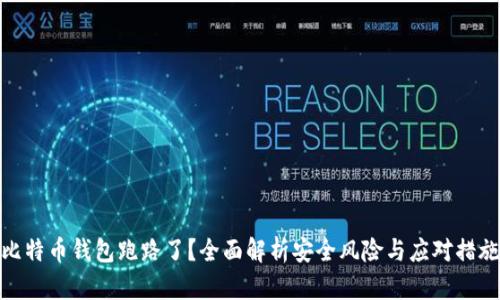 比特币钱包跑路了？全面解析安全风险与应对措施
