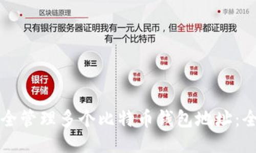 如何安全管理多个比特币钱包地址：全面指南