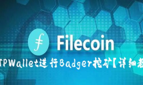 如何使用TPWallet进行Badger挖矿？详细教程与技巧