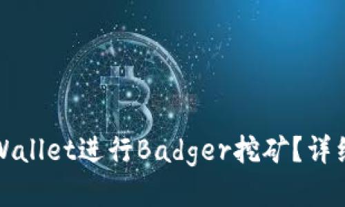 如何使用TPWallet进行Badger挖矿？详细教程与技巧