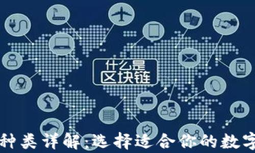 
虚拟币钱包的种类详解：选择适合你的数字资产存储方案