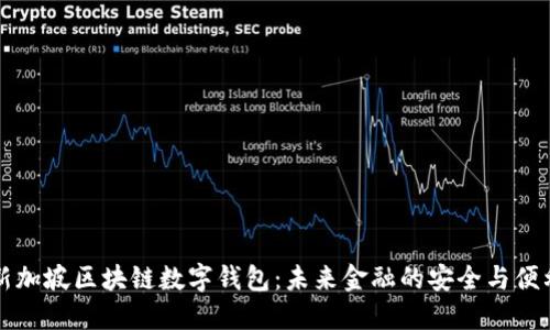 新加坡区块链数字钱包：未来金融的安全与便利