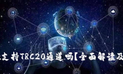 TPWallet支持TRC20通道吗？全面解读及使用指南