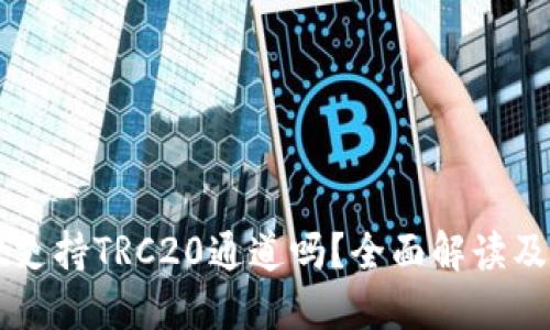 TPWallet支持TRC20通道吗？全面解读及使用指南