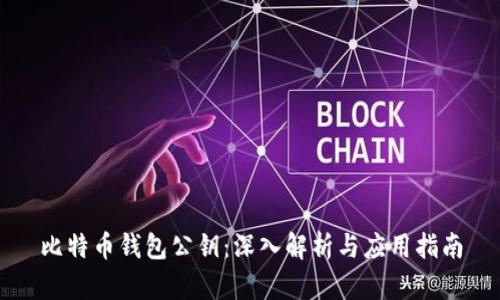 比特币钱包公钥：深入解析与应用指南
