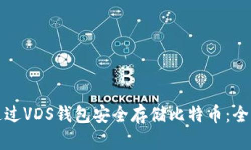 如何通过VDS钱包安全存储比特币:全面指南