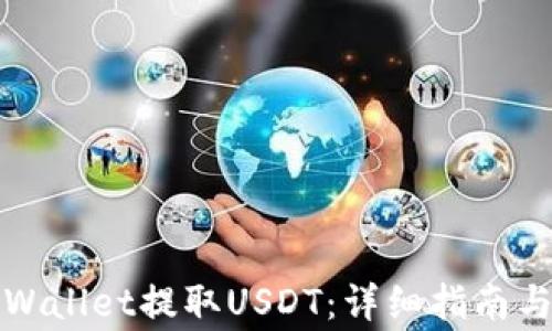 
如何从TPWallet提取USDT：详细指南与常见问题