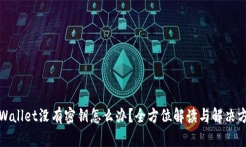 TPWallet没有密钥怎么办？全方位解读与解决方案